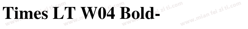 Times LT W04 Bold字体转换